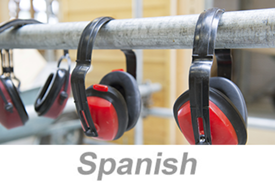 Picture of Hearing Conservation (Spanish)