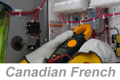 Picture of Recognizing Electrical Hazards Awareness (Canadian French)