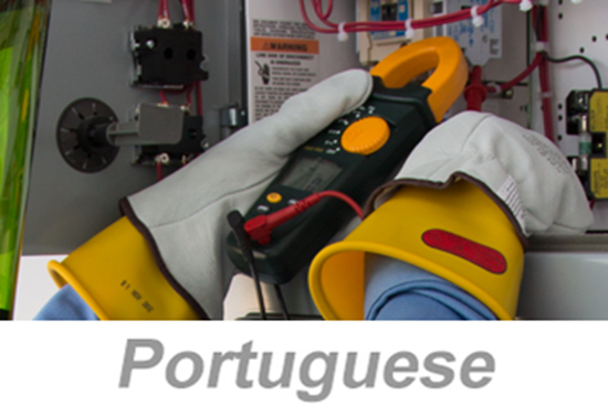 Picture of Recognizing Electrical Hazards Awareness (Portuguese)