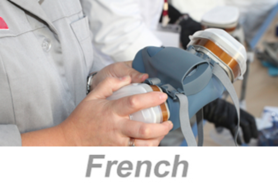 Picture of Respiratory Protection (French)