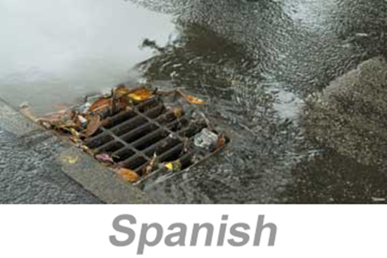 Picture of Stormwater Pollution Prevention (US) (Spanish)