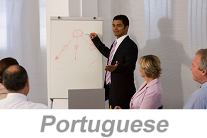 Picture of Integrated Systems - Achieving Organizational Excellence (Portuguese)