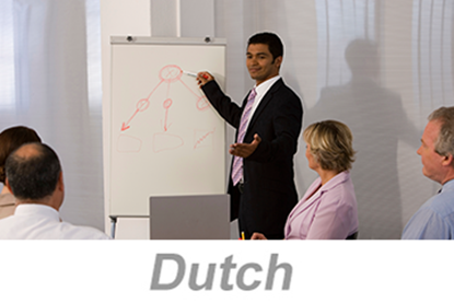 Picture of Integrated Systems - Achieving Organizational Excellence (Dutch)