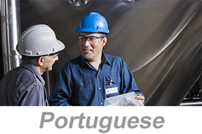 Picture of Incident Investigation (Portuguese)