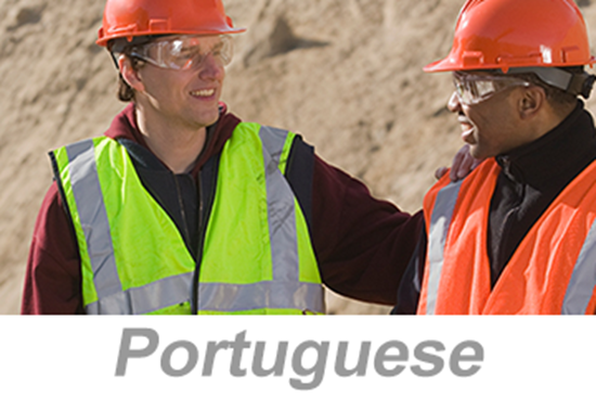 Picture of Job Hazard Analysis (JHA) (Portuguese)