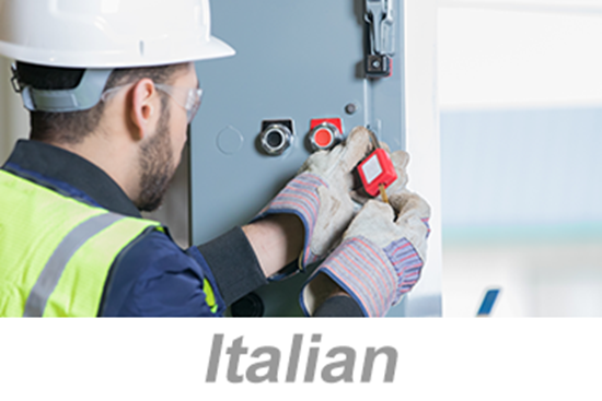 Picture of Lockout/Tagout (LOTO) Programs and Procedures (Italian)