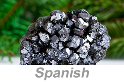 Picture of Lead Poisoning (Spanish)