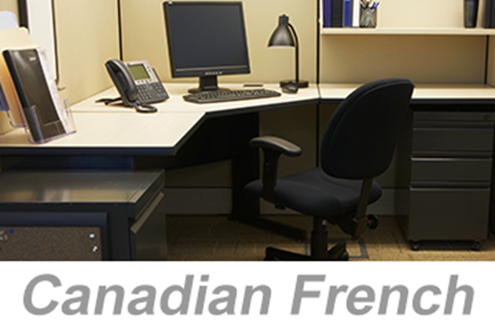 Picture of Office Ergonomics Essentials (Canadian French)