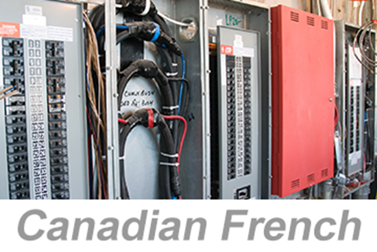 Picture of Preventing and Addressing Electrical Violations (US) (Canadian French)