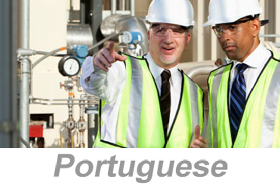 Picture of Personal Protective Equipment (PPE) Overview (Portuguese)