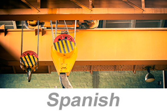 Picture of Overhead and Gantry Crane Safety (Spanish)