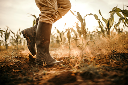 Picture of Personal Protective Equipment (PPE): Foot and Leg Protection