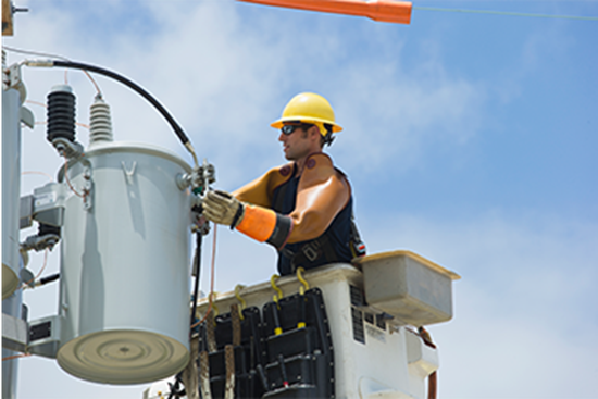 Picture of Personal Protective Equipment (PPE): Hand and Arm Protection