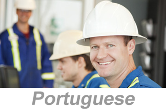 Picture of Hazardous Chemical Information (Portuguese)