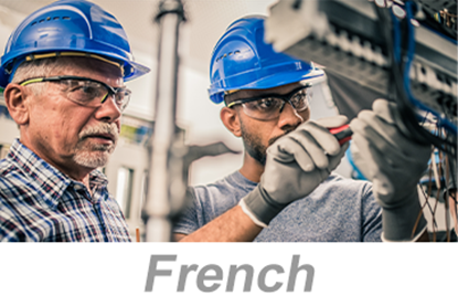 Picture of Personal Protective Equipment (PPE): Head Protection (French)