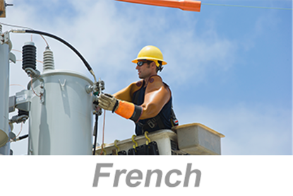 Picture of Personal Protective Equipment (PPE): Hand and Arm Protection (French)