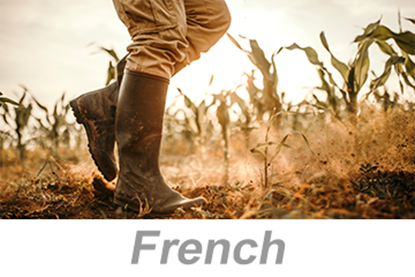 Picture of Personal Protective Equipment (PPE): Foot and Leg Protection (French)