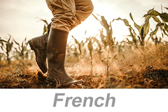 Picture of Personal Protective Equipment (PPE): Foot and Leg Protection (French)