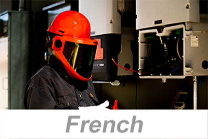 Picture of Personal Protective Equipment (PPE): Electrical Protection (French)