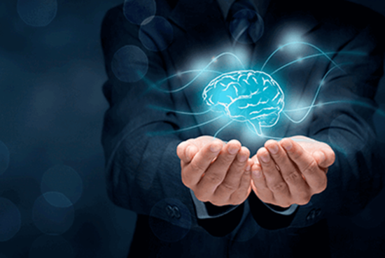 Picture of Confidentiality, Intellectual Property Protection, and Information Security