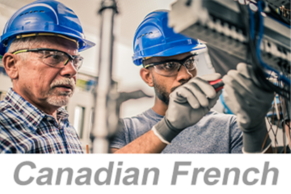Picture of Personal Protective Equipment (PPE): Head Protection (Canadian French)