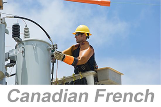 Picture of Personal Protective Equipment (PPE): Hand and Arm Protection (Canadian French)