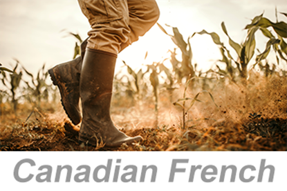 Picture of Personal Protective Equipment (PPE): Foot and Leg Protection (Canadian French)