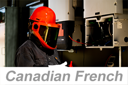 Picture of Personal Protective Equipment (PPE): Electrical Protection (Canadian French)