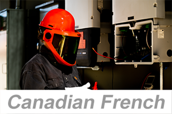 Picture of Personal Protective Equipment (PPE): Electrical Protection (Canadian French)