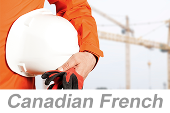 Picture of Personal Protective Equipment (PPE): Hazard Assessment (Canadian French)