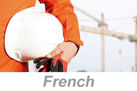 Picture of Personal Protective Equipment (PPE): Hazard Assessment (French)