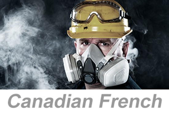 Picture of Personal Protective Equipment (PPE): Respiratory Protection (Canadian French)