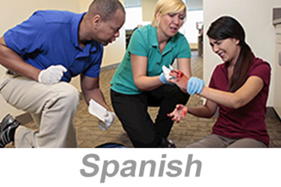 Picture of First Aid Awareness (Spanish)