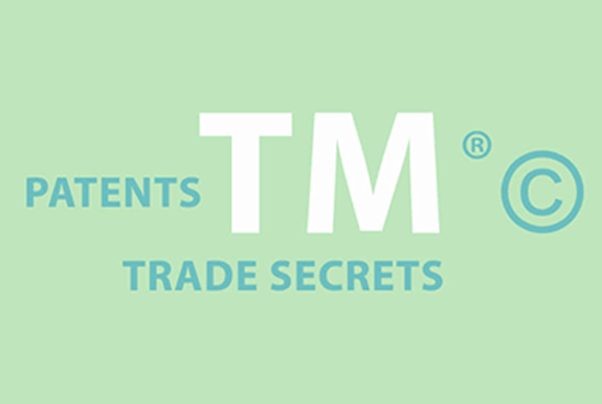 Picture of Safeguarding Intellectual Property