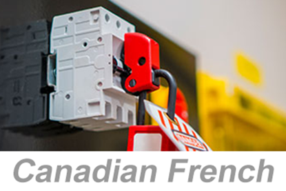 Picture of Lockout/Tagout/Tryout (LOTOTO) (Canadian French)