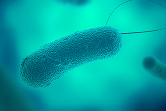 Picture of Facility Safety: Legionella and Water Management